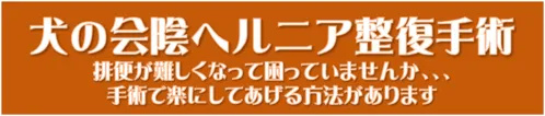 会陰ヘルニア整復手術