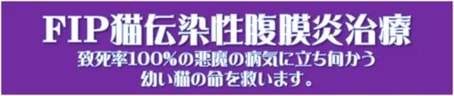 FIP治療