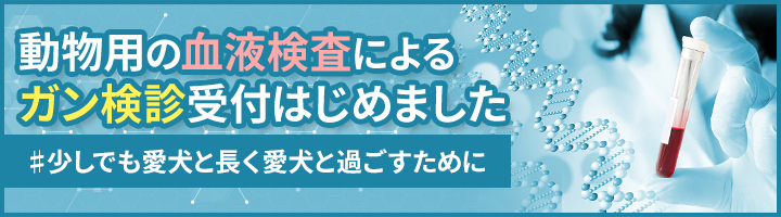 がん検診
