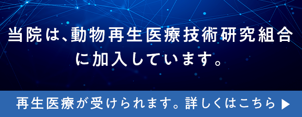 再生医療バナー