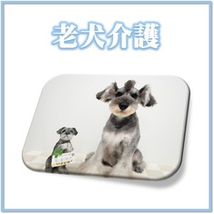 老犬介護