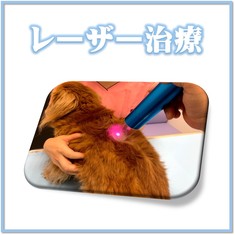 レーザー治療