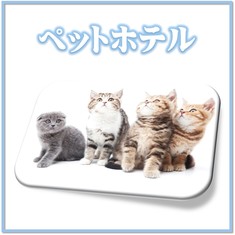 ペットホテル