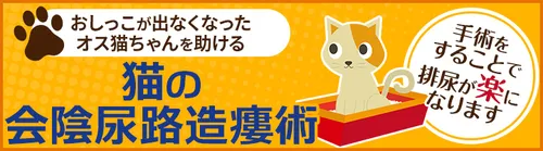 猫の会陰尿路造瘻術