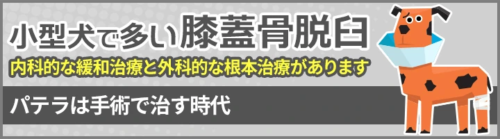 膝蓋骨脱臼整復手術