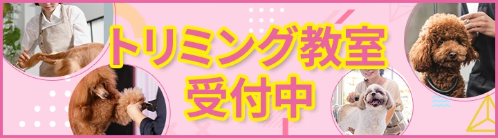 ペットの酸素室