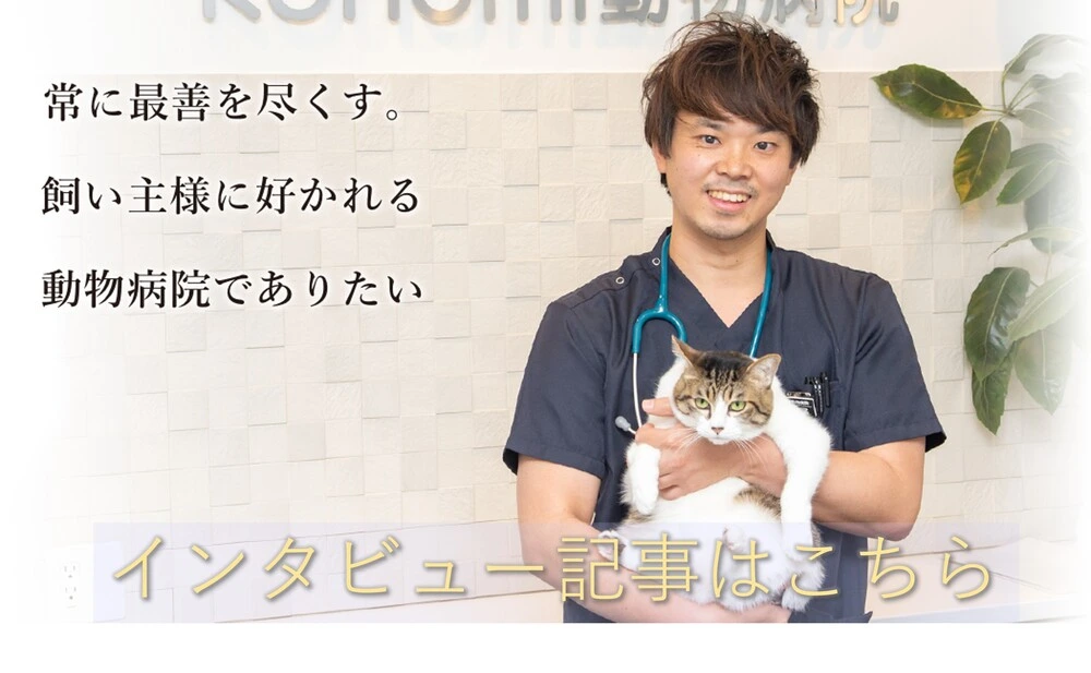 カルーペットインタビュー